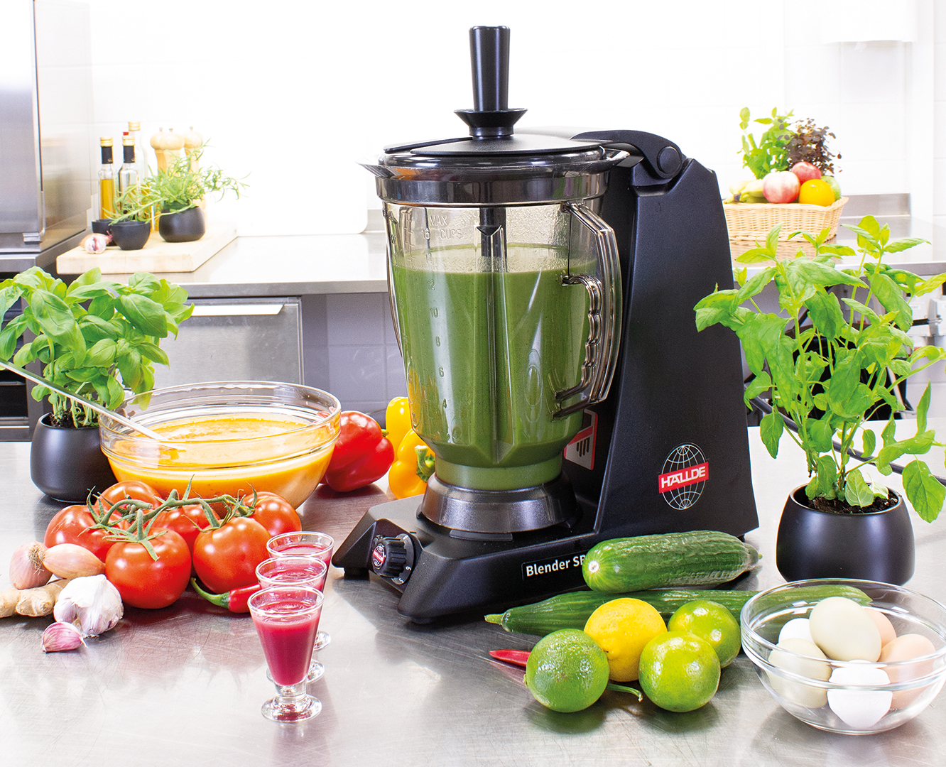 Mixer & Blender  