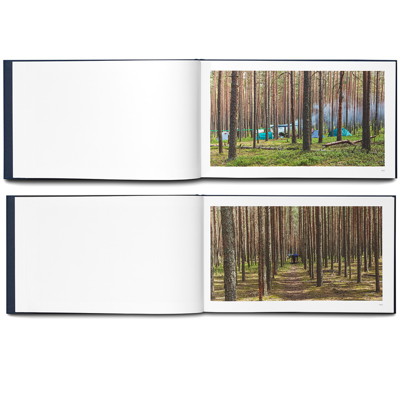 Annica Karlsson Rixon: At the Time of the Third Reading - 2
