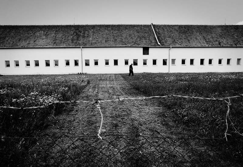 Åke Ericson: Non Grata [signed] - 2