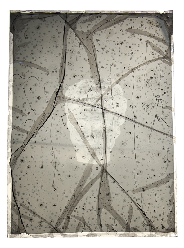 John Selbing:  The Glass and the Dream - 4