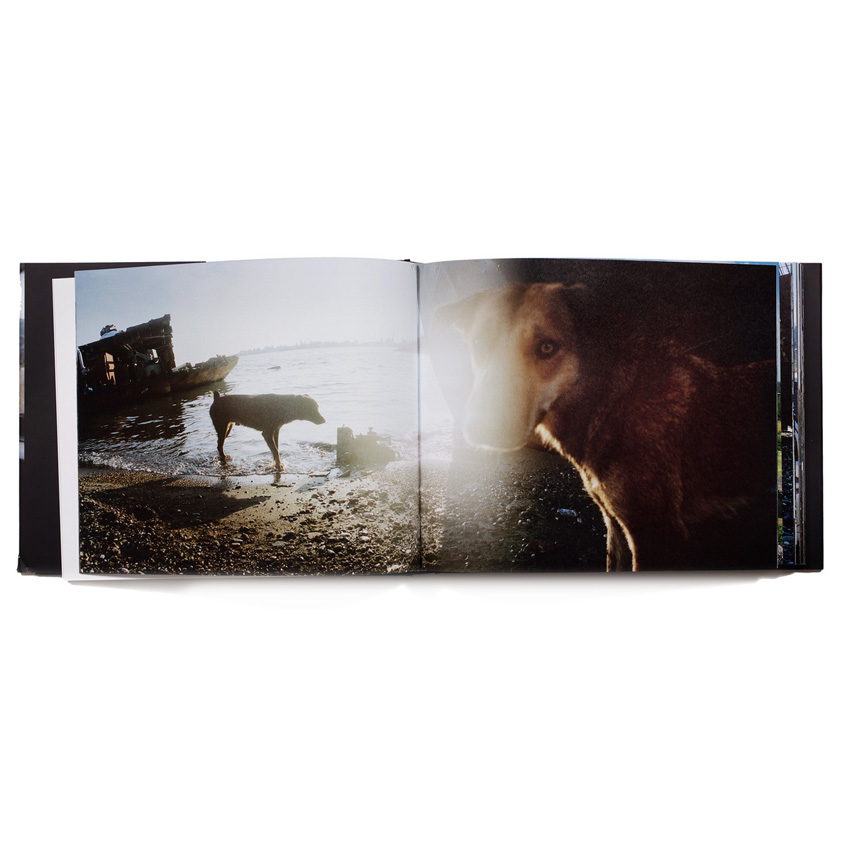Jens Olof Lasthein: Meanwhile Across the Mountain [signed] - 2