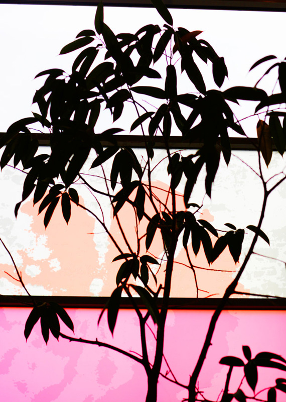 Louise Enhörning: Agape [signed] - 8