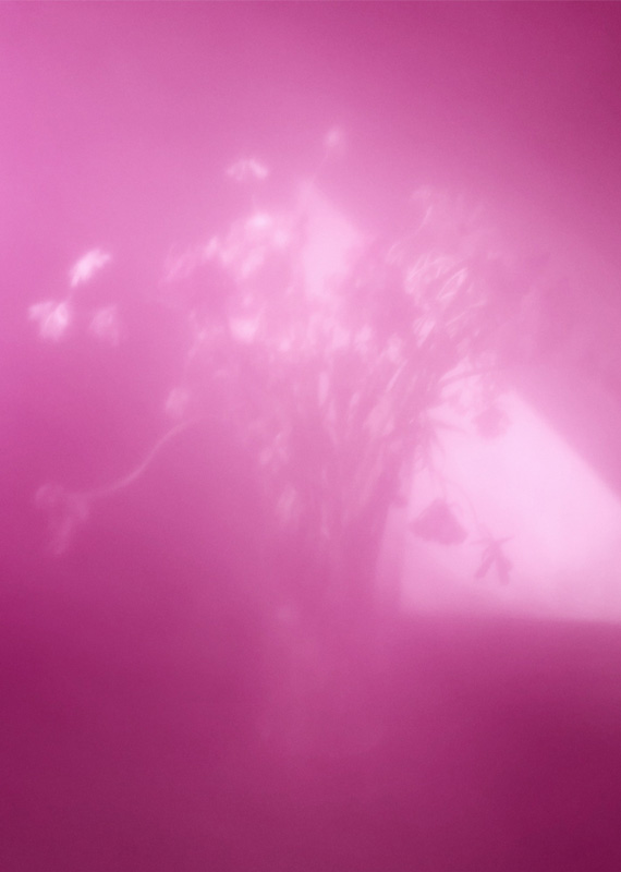 Louise Enhörning: Agape [signed] - 2