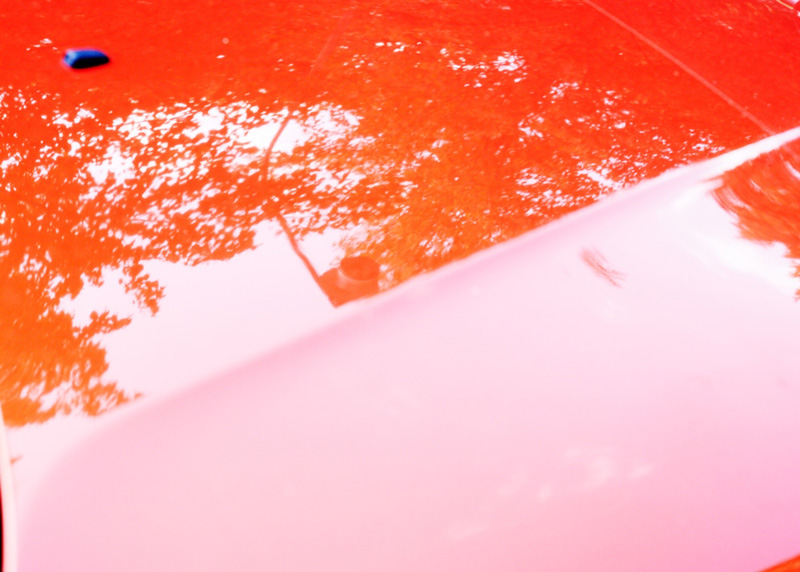 Louise Enhörning: Agape [signed] - 7