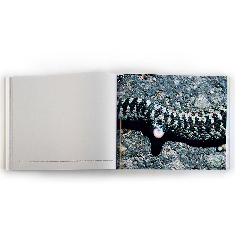 Anders Ängsvik: Roadkill - 6