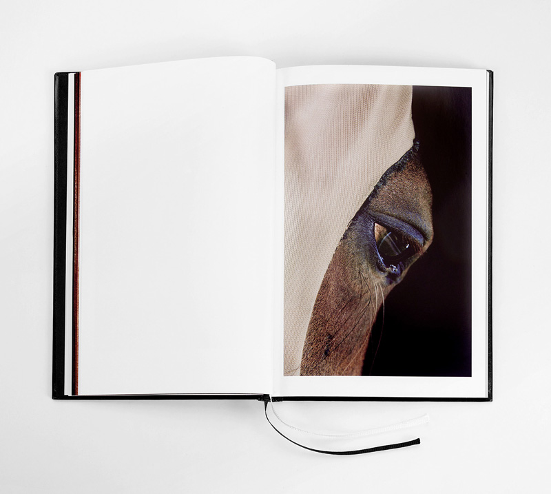 Pernilla Zetterman: Turn Down Center Line [signed] - 5