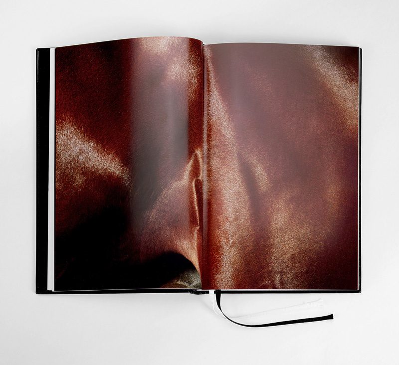 Pernilla Zetterman: Turn Down Center Line [signed] - 2