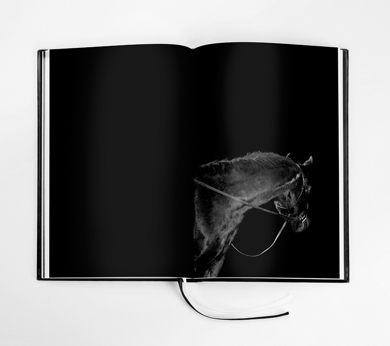 Pernilla Zetterman: Turn Down Center Line [signed] - 6