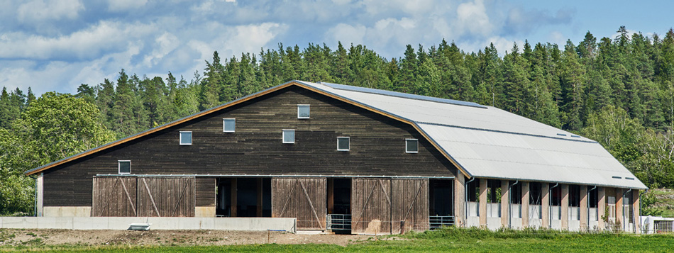 Arkitektur i trä/Architecture in Wood - 17