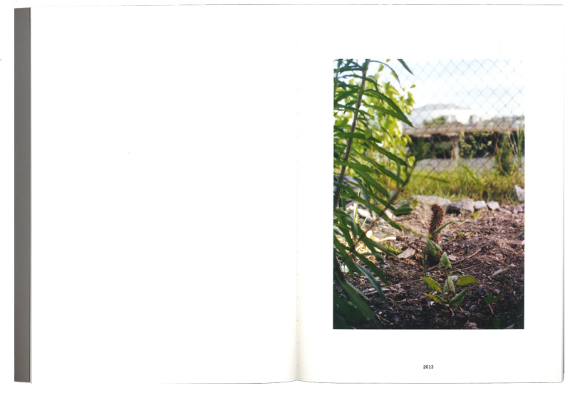 Erik Viklund: Vännernas arena [signed] - 3