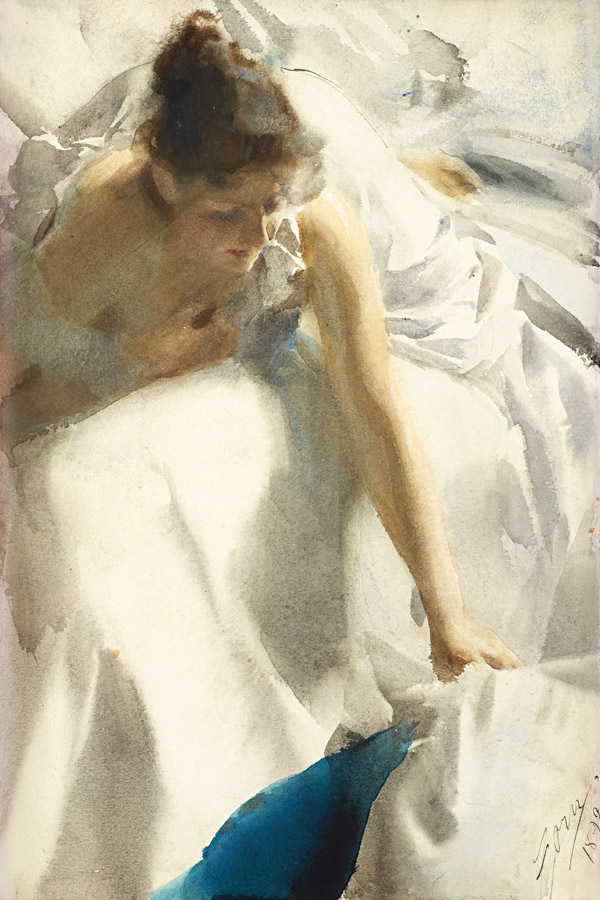 Anders Zorn: A Swedish Superstar - 3