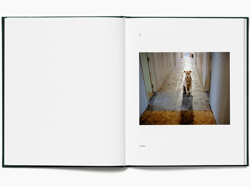 Tova Mozard:  Ghost Light [signed] - 4
