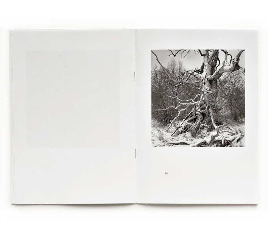 Gerry Johansson: Esker [signed] - 7