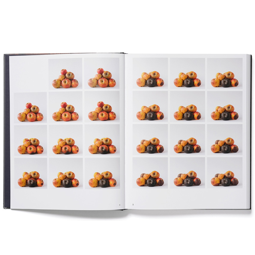Trine Søndergaard: 203 Works [signed] - 3