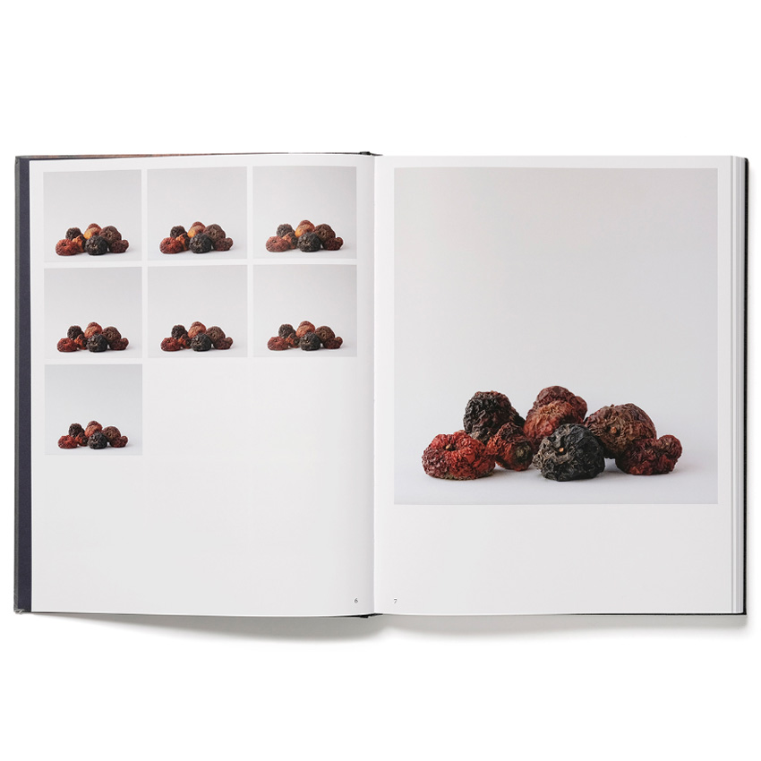 Trine Søndergaard: 203 Works [signed] - 4