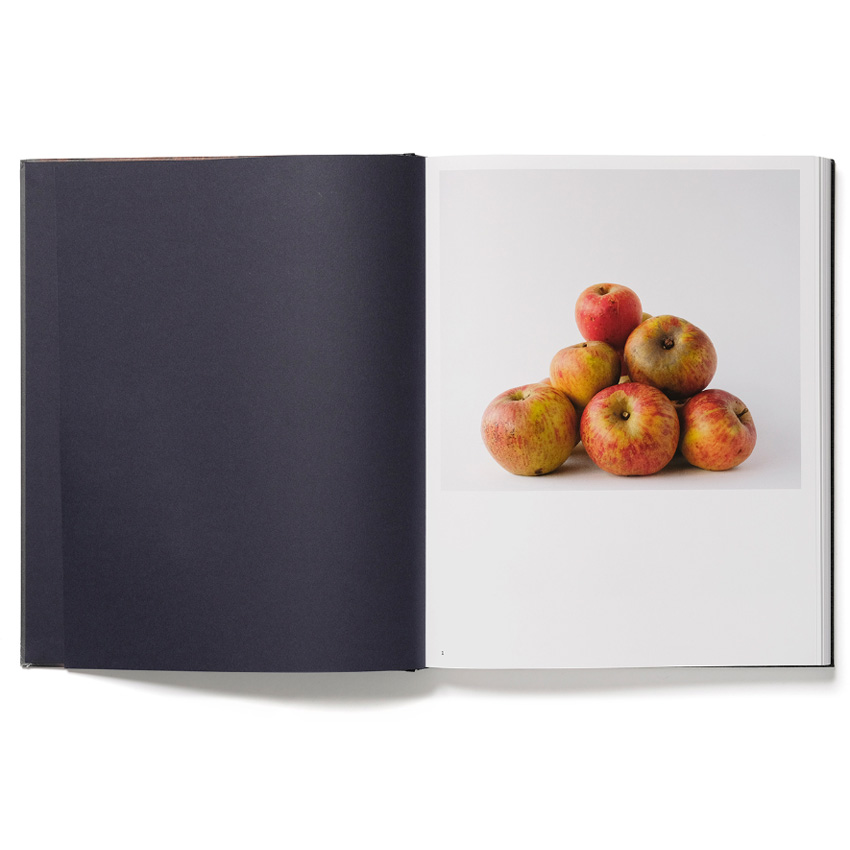 Trine Søndergaard: 203 Works [signed] - 2