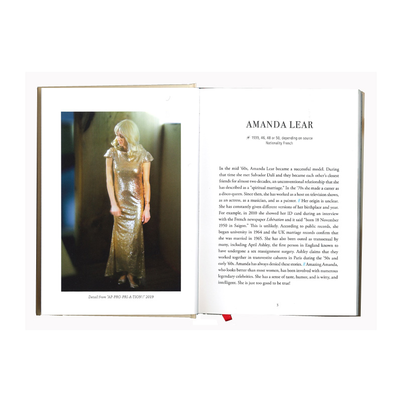 Sonja Nilsson: Visibility is a Trap – the Source Book [signed] - 3