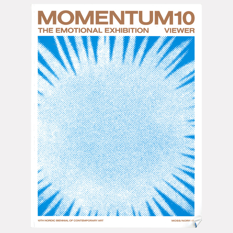 Momentum 10: The Viewer