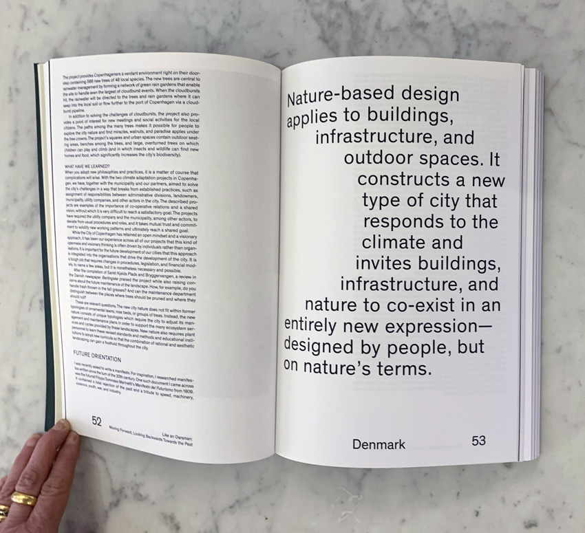 Green Visions: Greenspace Planning and Design in Nordic Cities  - 2