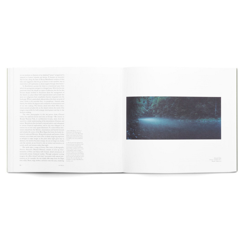 Broken: Environmental Photography - 6