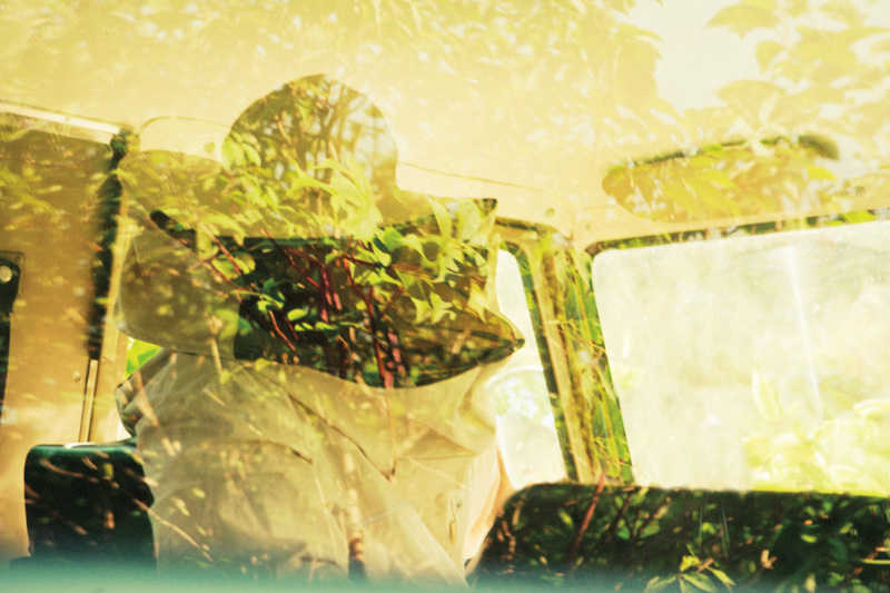 Frode & Marcus: Beekeeper [signed] - 2