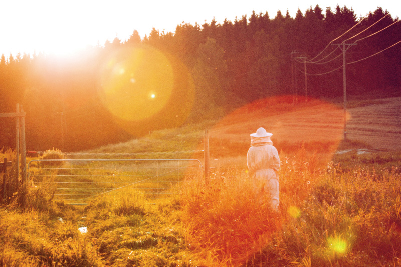 Frode & Marcus: Beekeeper [signed] - 4