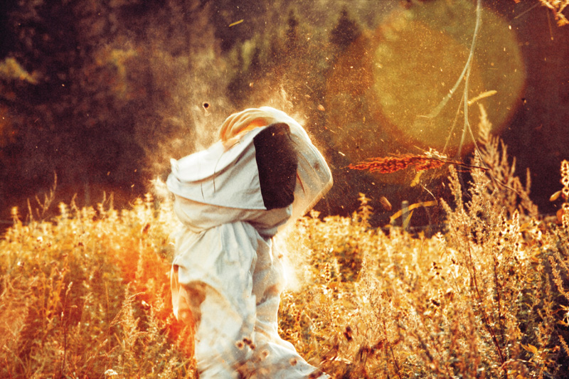 Frode & Marcus: Beekeeper [signed] - 5