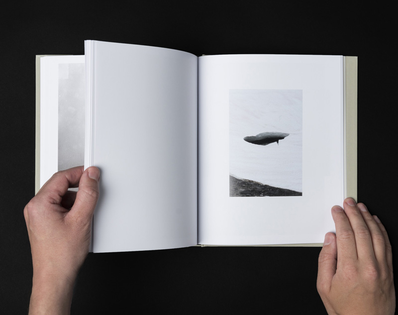 Emanuel Cederqvist:  The Margin of Error [signed] - 5
