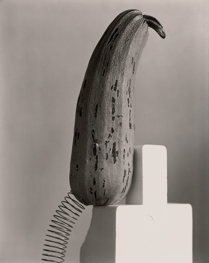 Hans Cogne: Amazing Gaze & Other Photographs [signed] - 3