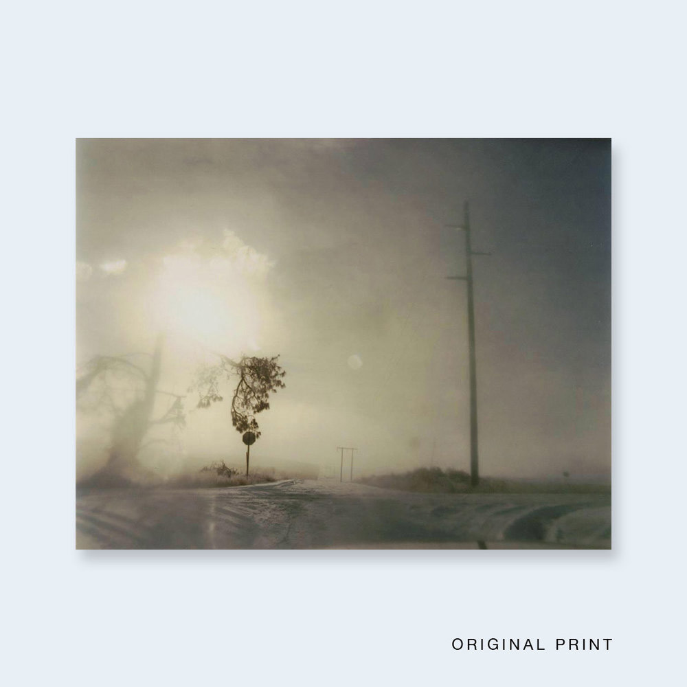 Todd Hido: Crooked Cracked Tree (One Picture Books #60) - 2