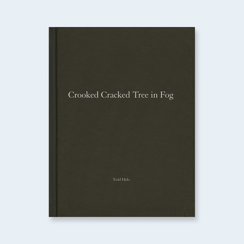 Todd Hido: Crooked Cracked Tree (One Picture Books #60) - 3