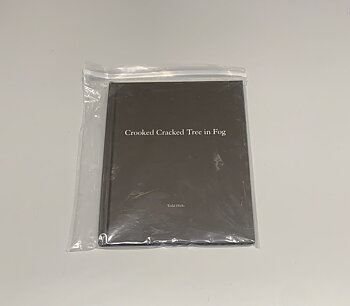 Todd Hido: Crooked Cracked Tree (One Picture Books #60)