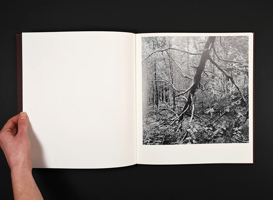 Mari Lagerquist: Stormskadad/Wounded by the Storm - 3