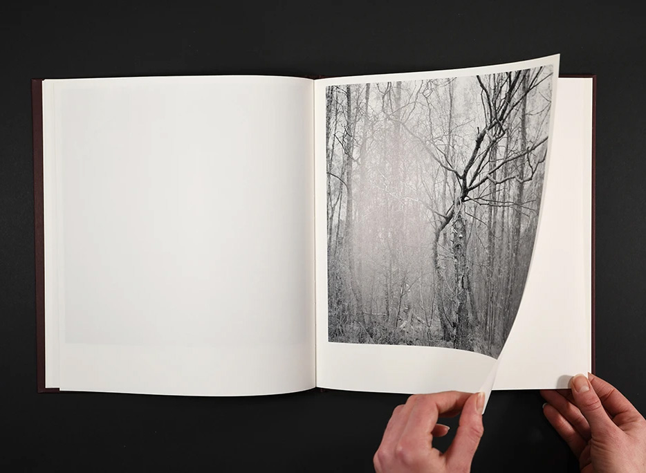 Mari Lagerquist: Stormskadad/Wounded by the Storm - 4