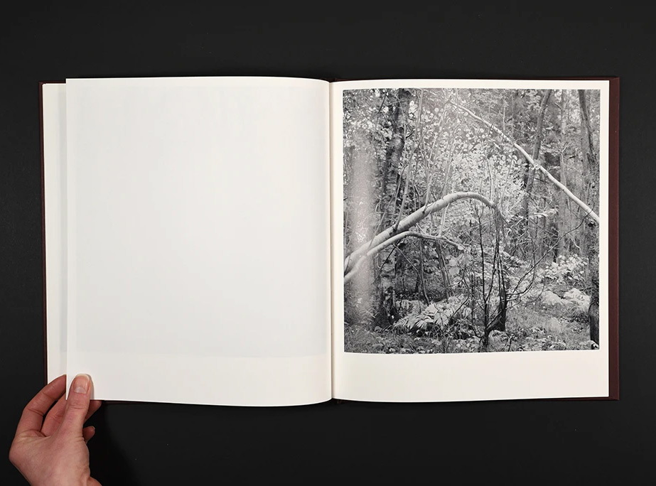 Mari Lagerquist: Stormskadad/Wounded by the Storm - 5
