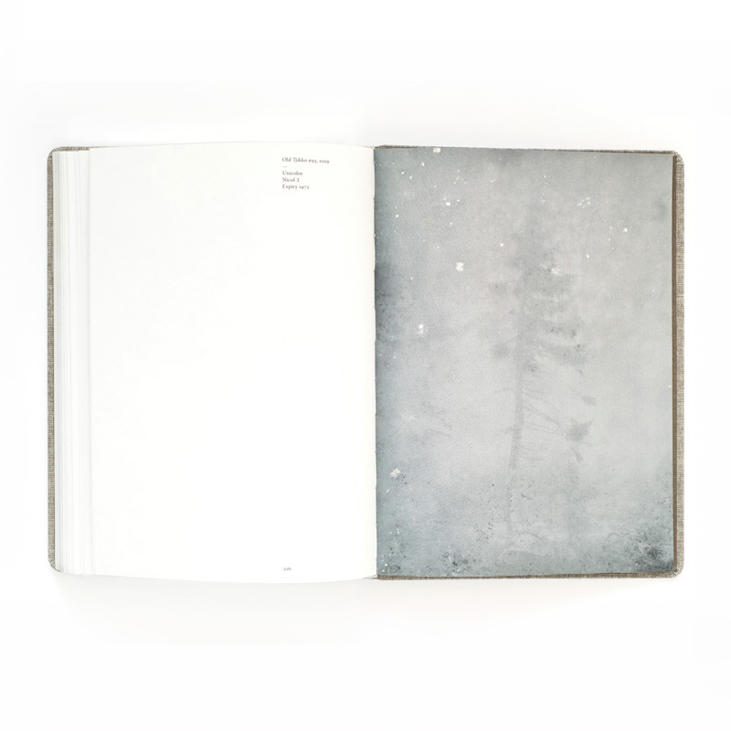 Nicolai Howalt: Old Tjikko [signed] - 5