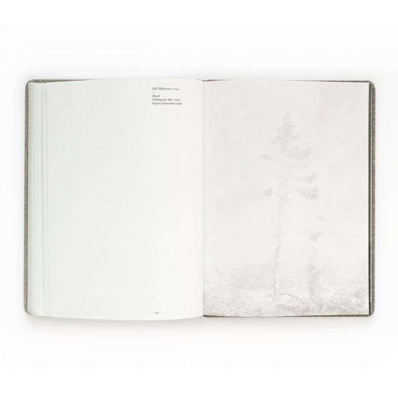 Nicolai Howalt: Old Tjikko [signed] - 4