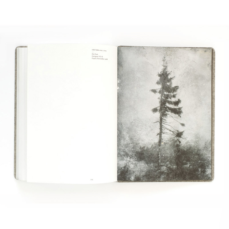 Nicolai Howalt: Old Tjikko [signed] - 2