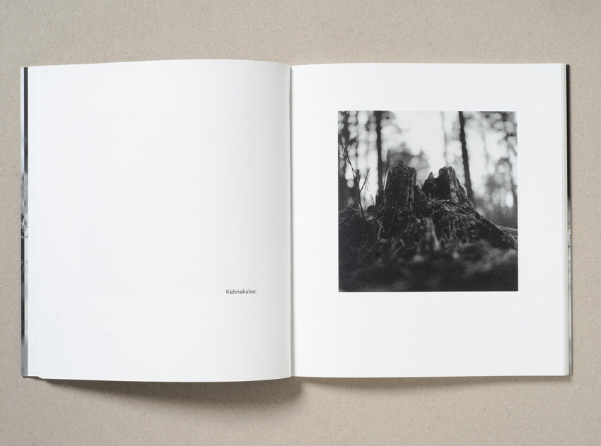 John Håkansson: Small: Mountain [signed] - 2