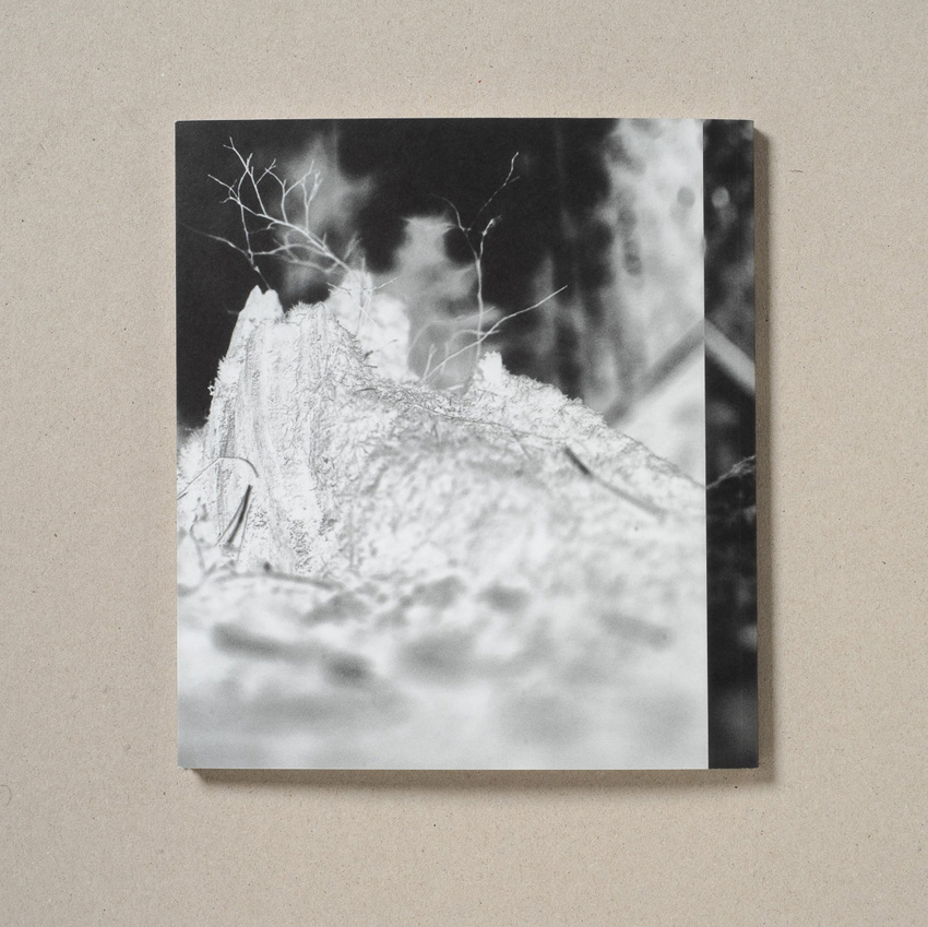 John Håkansson: Small: Mountain [signed] - 5