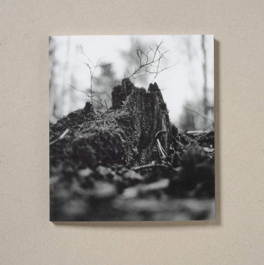John Håkansson: Small: Mountain [signed]