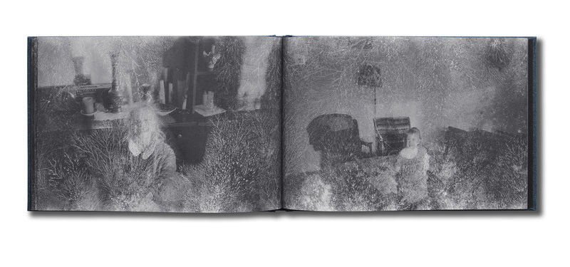 Eva Saukane: Roots [signed] - 3