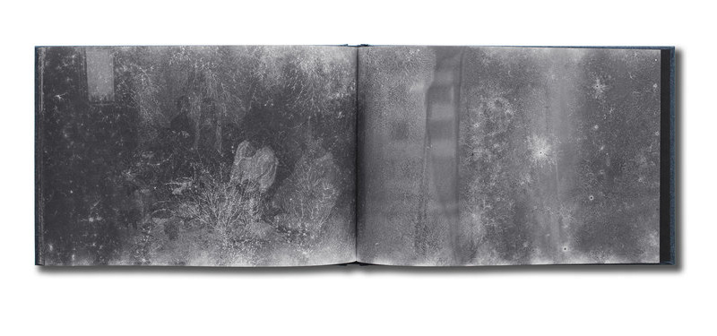 Eva Saukane: Roots [signed] - 4