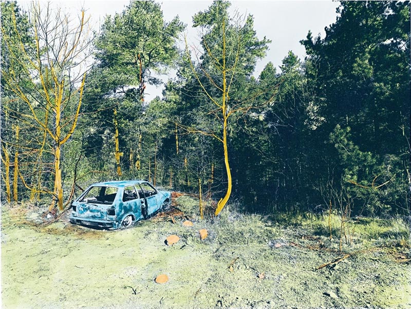 Björn Larsson: A Year in Sweden [signed] - 5