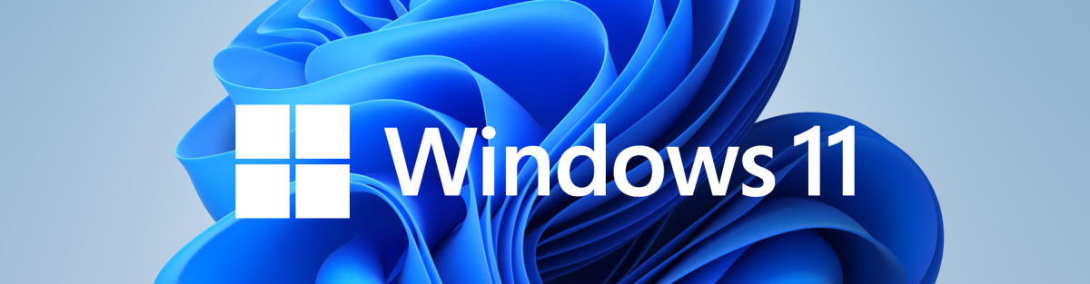 Windows 11 Pro 64-bit DVD Swedish OEM  