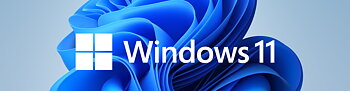 Windows 11 Pro 64-bit DVD Swedish OEM  