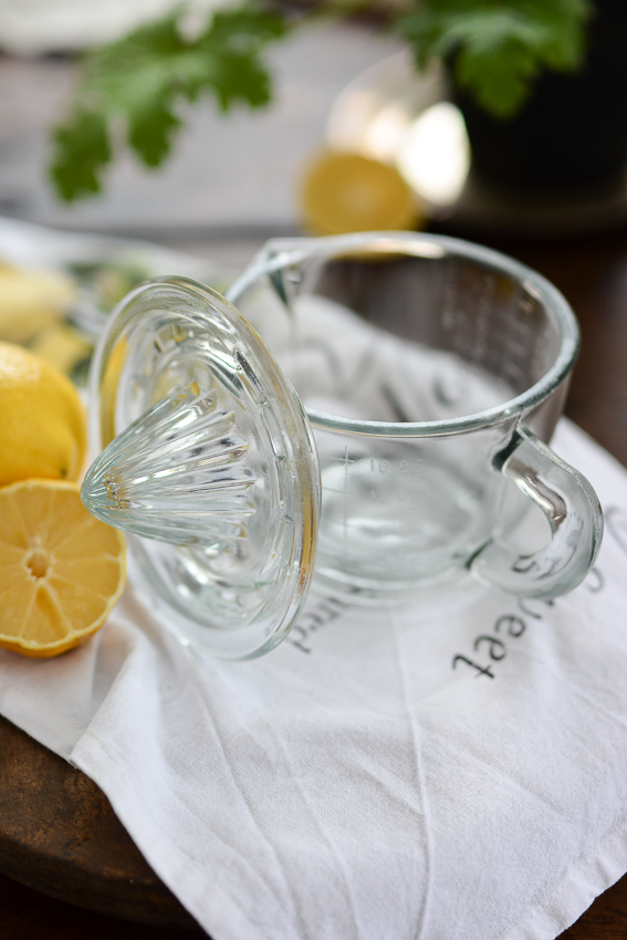 CITRUSPRESS - CITRONPRESS/MÅTT - JUICEPRESS - 2