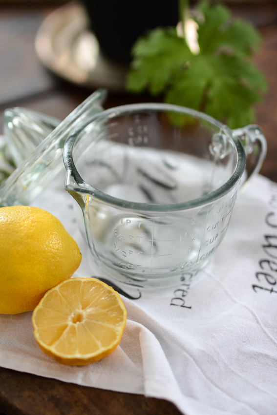 CITRUSPRESS - CITRONPRESS/MÅTT - JUICEPRESS - 3