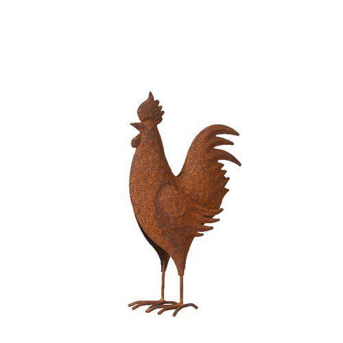 TUPP ROST - 25 CM - 5