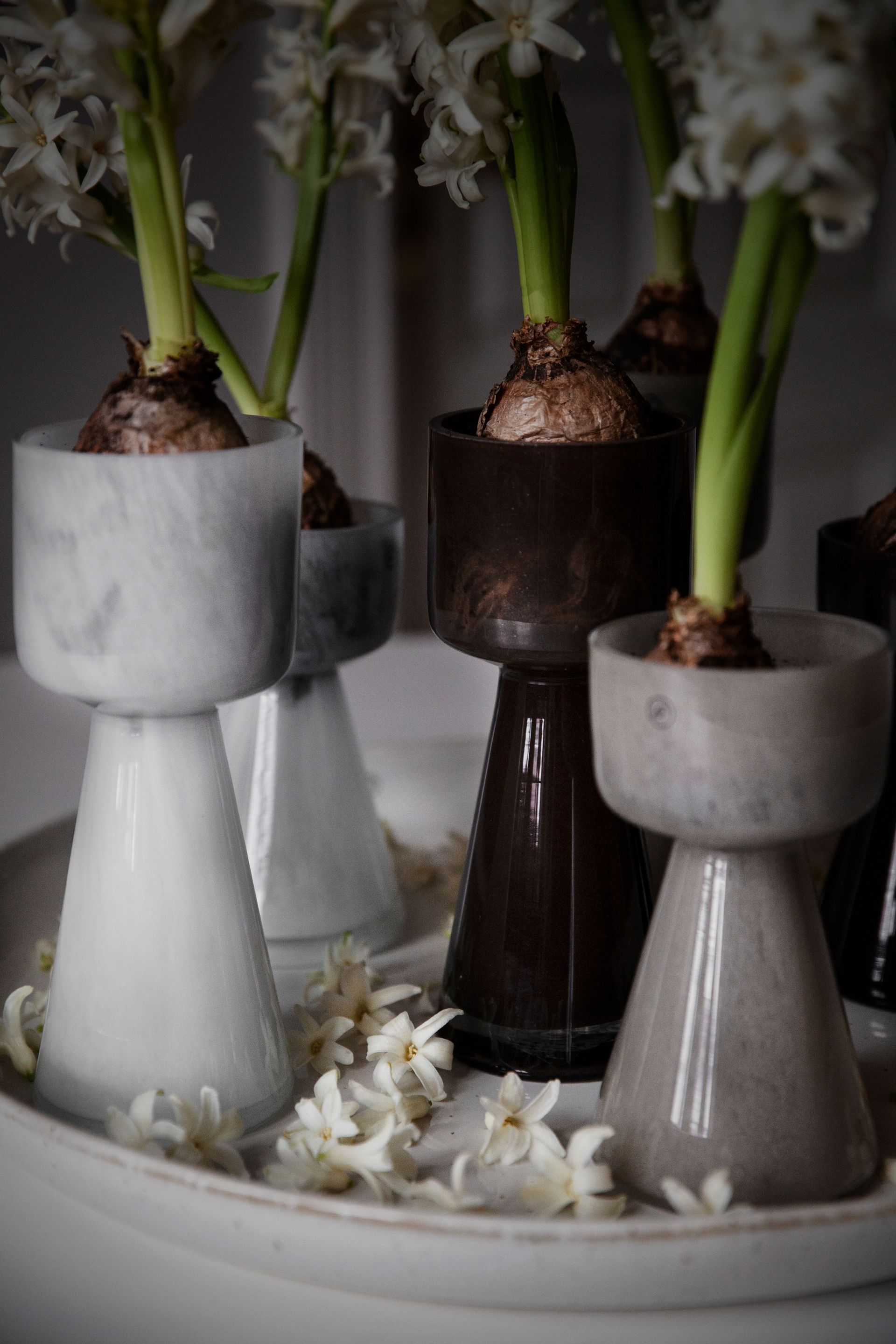 Ernst Lökvas - Hyacinth vase - Lantern - Tall - Brown - 3